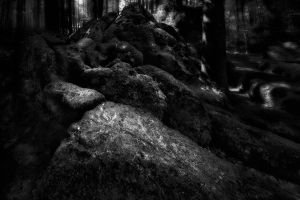 03 C W.Kleinoeder 2022 Stones Druidenhain 